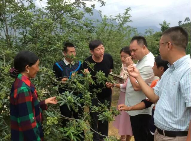 单海洋老师带领天玑企业家走进大凉山扶贫图3