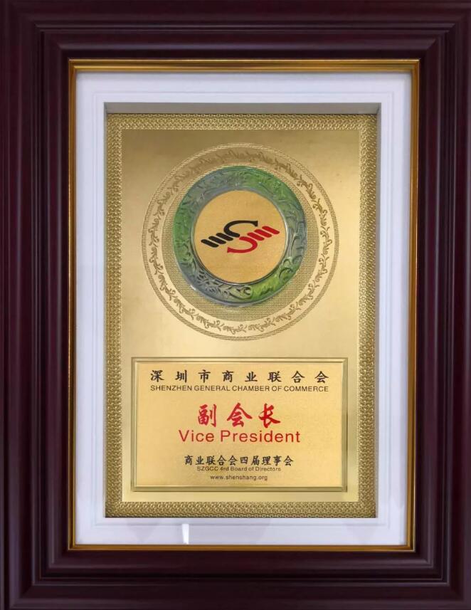 华一世纪年会(图16)