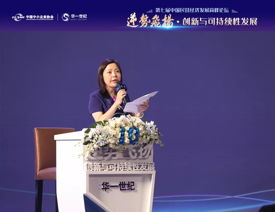 中国中小企业协会执行专职副会长马彬女士